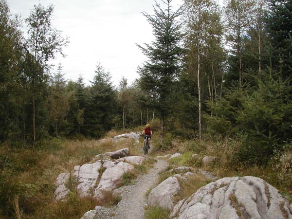 Roz on trail twisting round big granite lumps.