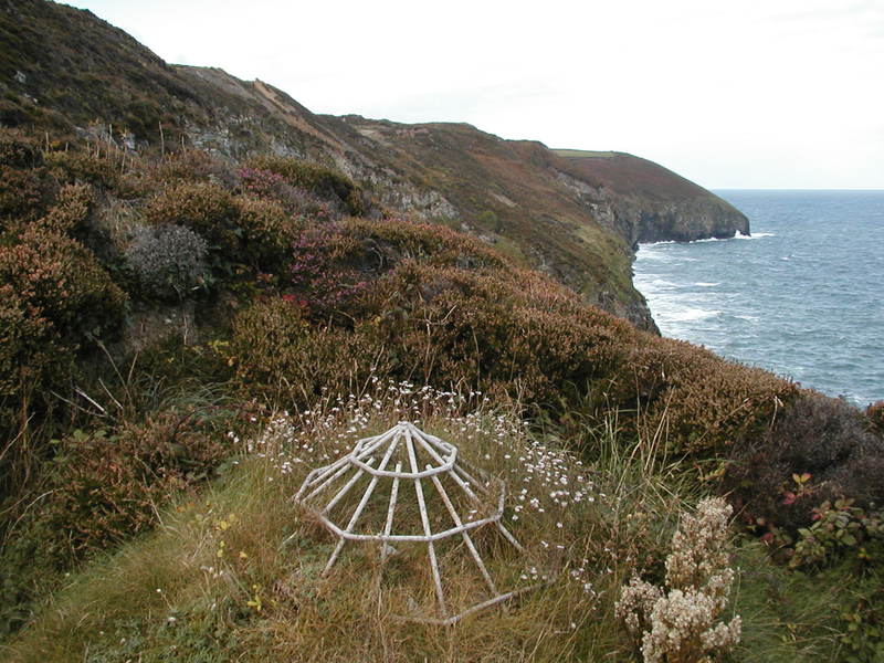 Area of thick grass on hillside, with just the top of a conical metal mesh sticking out, surrounded by heather.