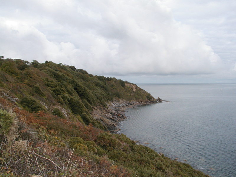 Looking out to headland, covered by thick spiky bushes.
