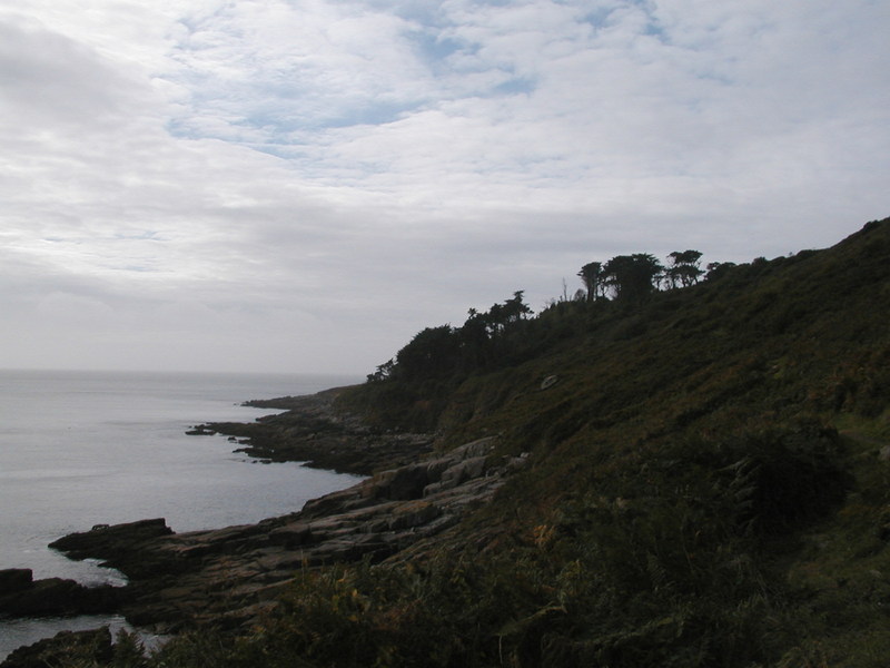 Fern covered hillside, granite slabs at shoreline, trees on horizon