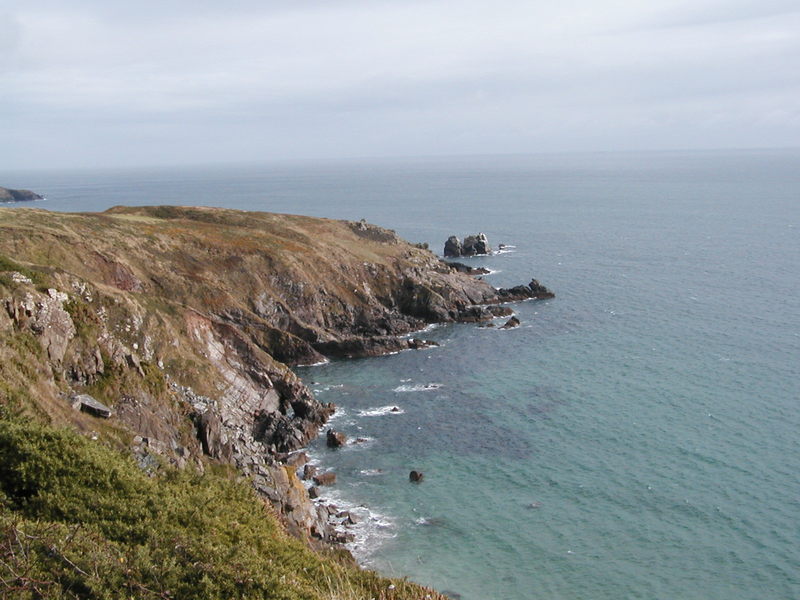 Looking down through gorse bushes to rocky headland in the sun, green and blue sea below.