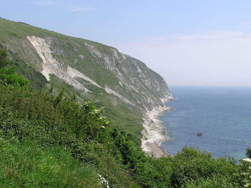 View out through bushes to grassy headland, areas of chalk visible from landslips.