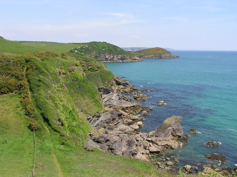 Steep path up steps through yellow gorse bushes, very rocky down beside the sea, in distance a gorse covered headland.