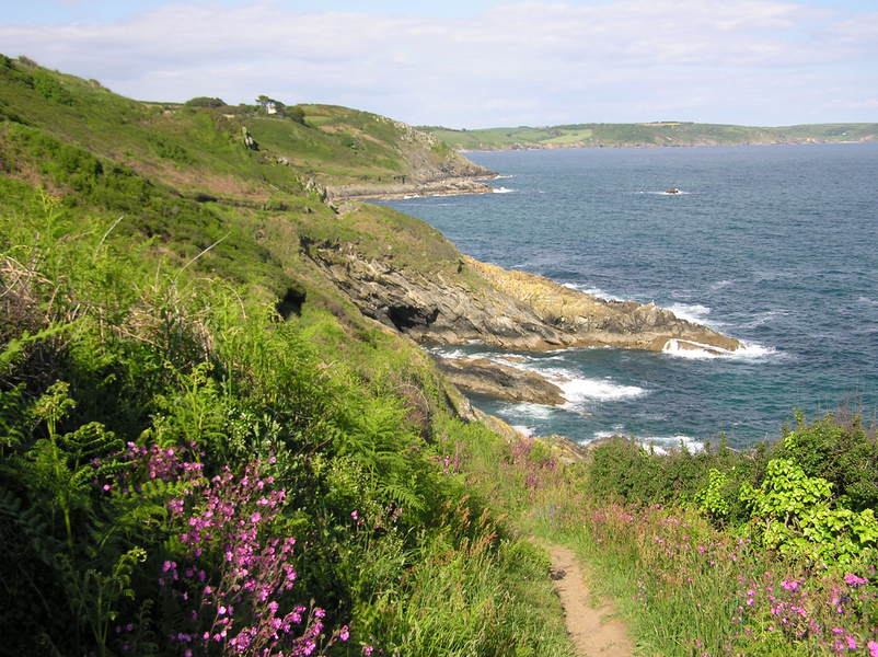 Series of small rocky headlands, in the foreground path through pink flowers, ferns, and bushes.