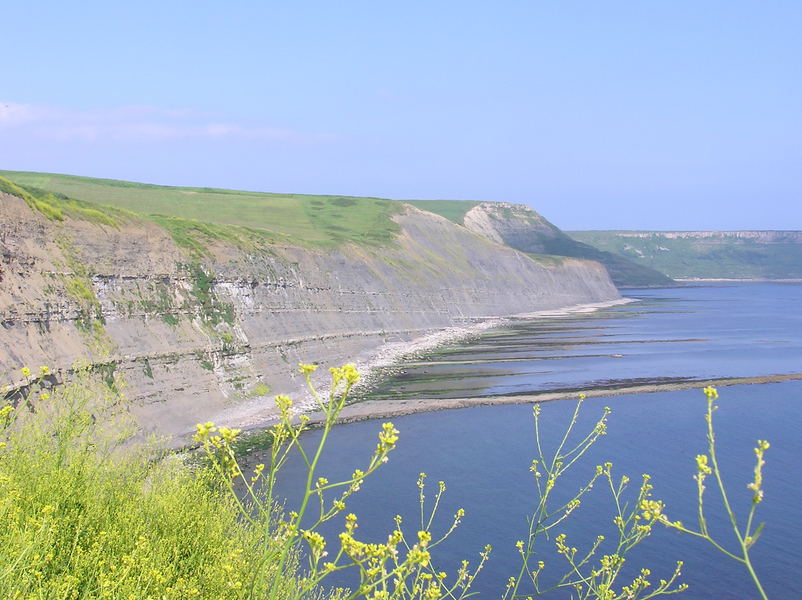 Brown shale cliffs, clear strata running along them, flat ledges extending out into the sea like fingers.