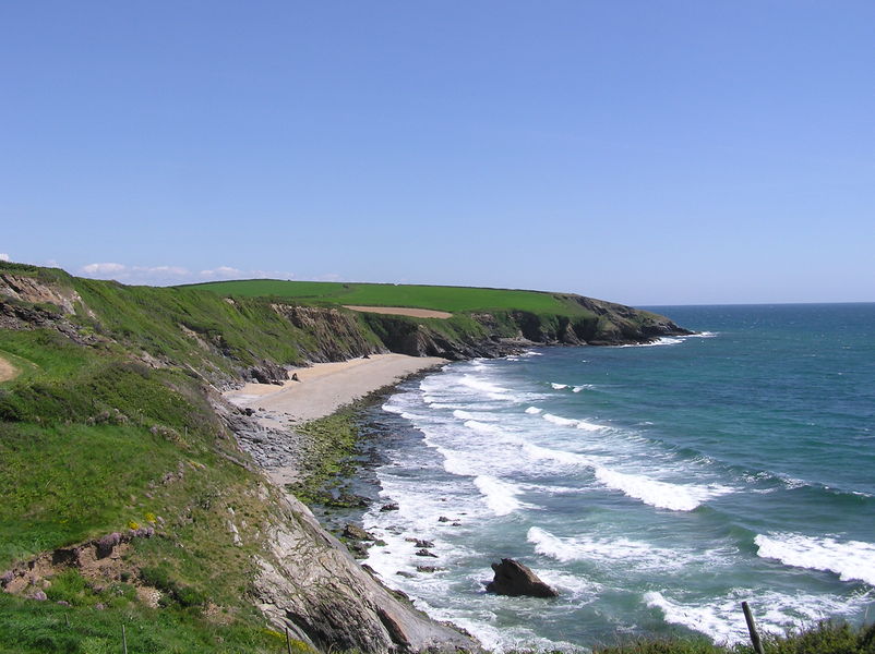 Blue skies, grassy coastline with small cliffs, small beach with white wave crests rolling in.
