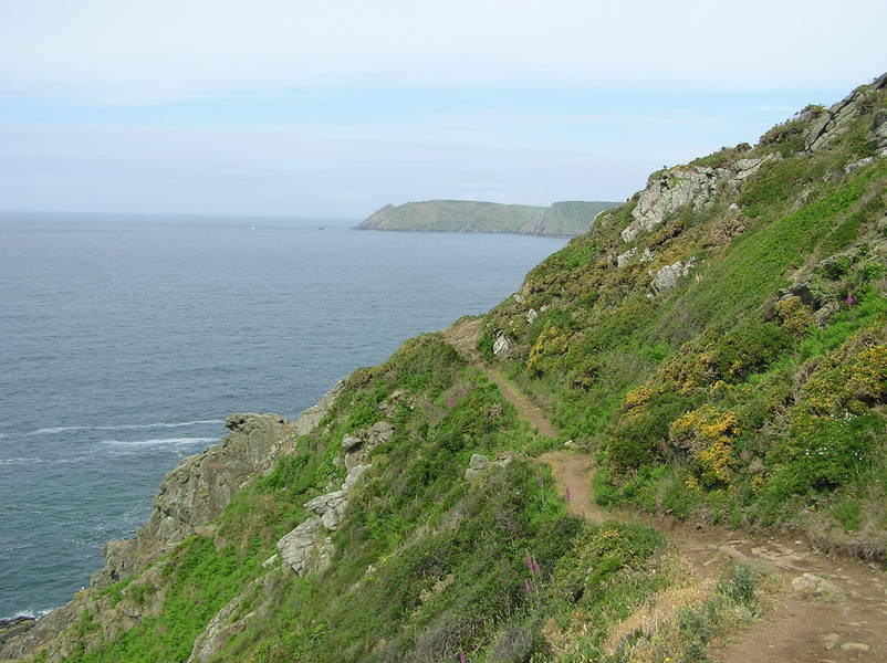 Path traversing steep hillside through rocks and bushes.